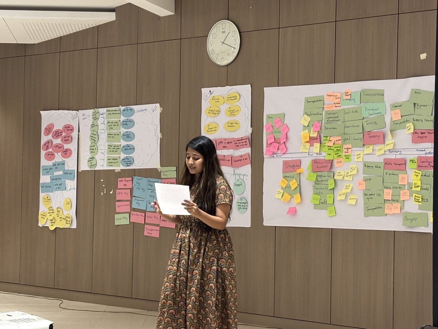 Workshop facilitation, sector mapping